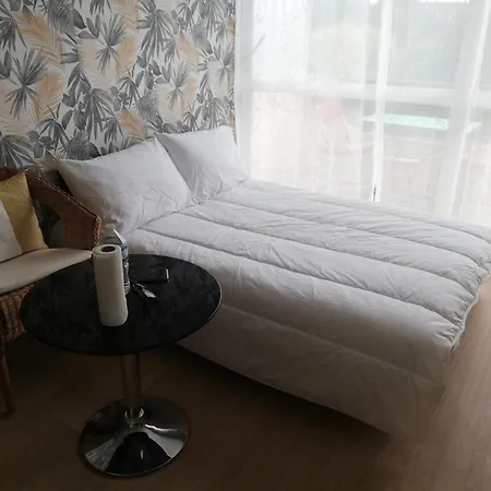 Calme Avec Balcon, Wifi Et Parking Près De La - Fr-1-712-20 Appartement